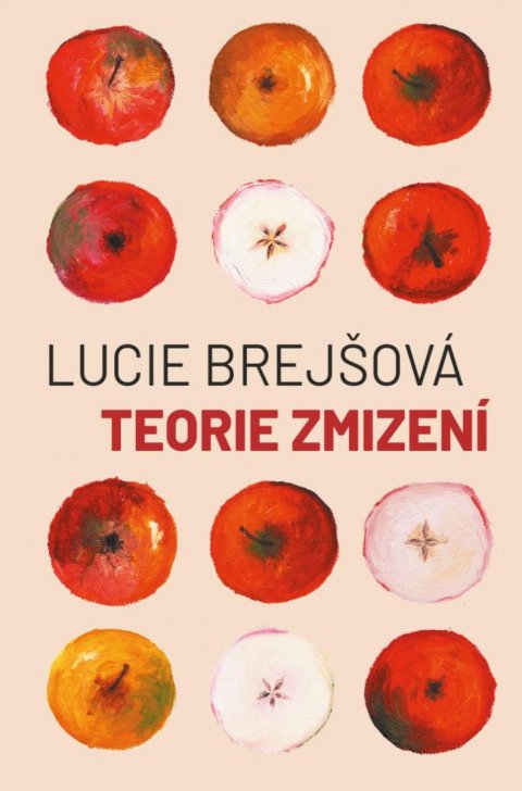 Brejšová Lucie: Teorie zmizení