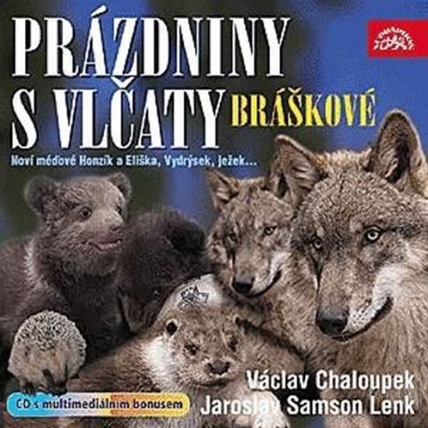 Různí interpreti: Bráškové, prázdniny s vlčaty - CD