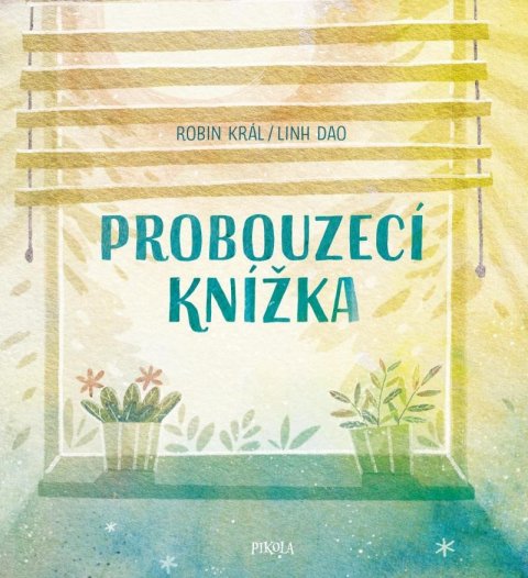 Král Robin: Probouzecí knížka