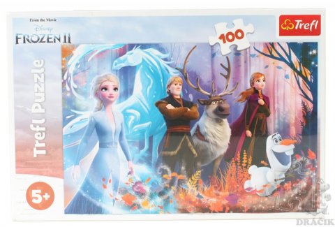 neuveden: Trefl Puzzle Frozen 2 - Mrazivá magie / 100 dílků