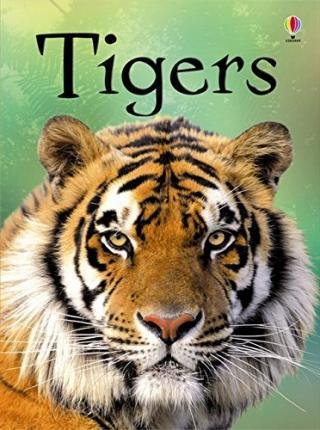 Maclaine James: Beginners Tigers