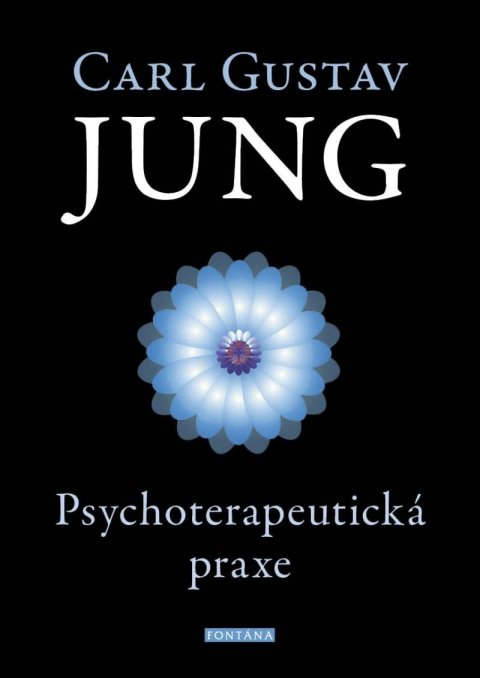 Jung Carl Gustav: Psychoterapeutická praxe